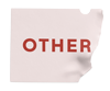 Sticker reading OTHER